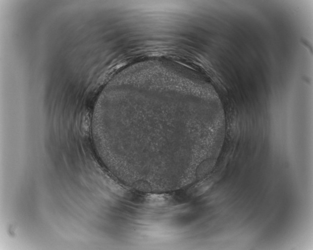 X0000102460277200808291548