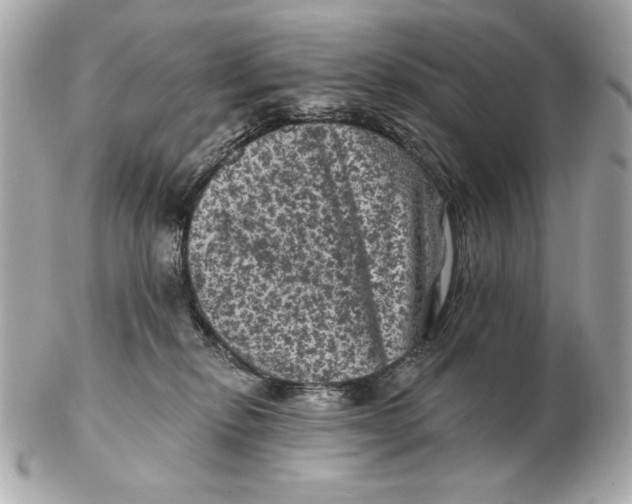 X0000102460278200808291548