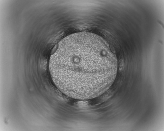 X0000102460279200808291548