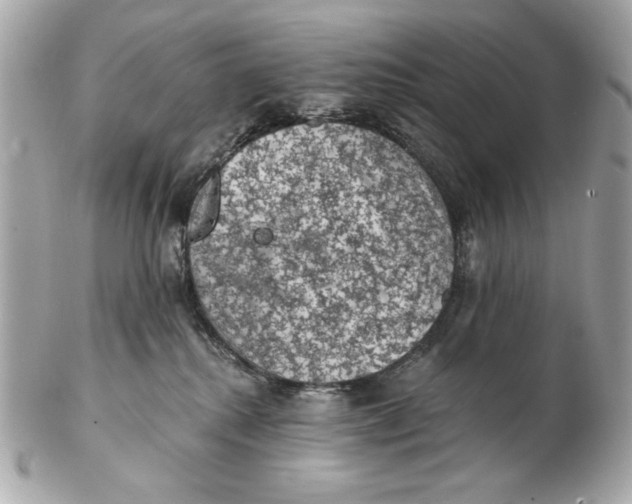 X0000102460280200808291549