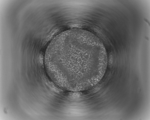 X0000102460282200808291549