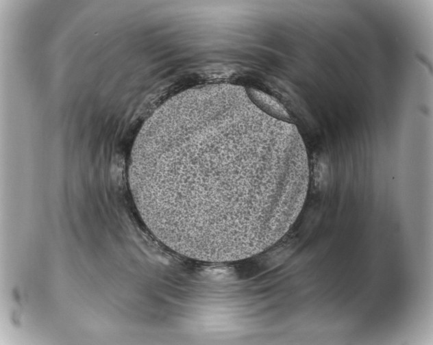 X0000102460283200808291549