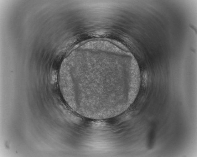 X0000102460284200808291549