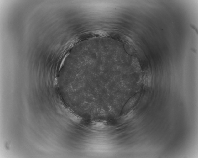 X0000102460285200808291549