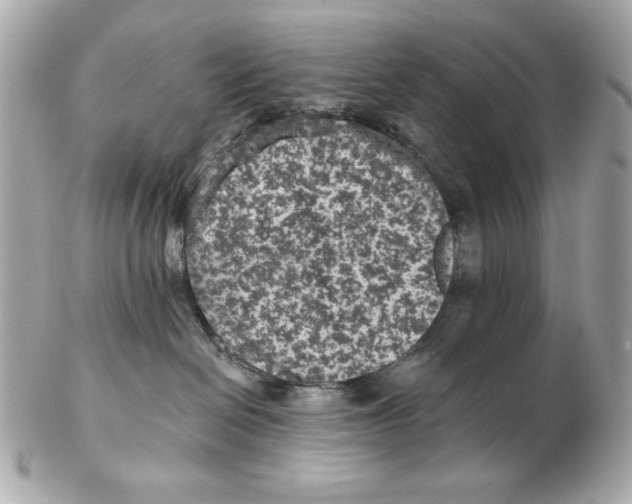 X0000102460286200808291549