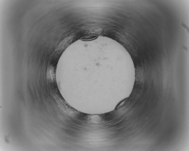 X0000102460287200808291549