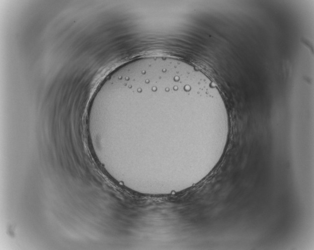 X0000102460289200808291548