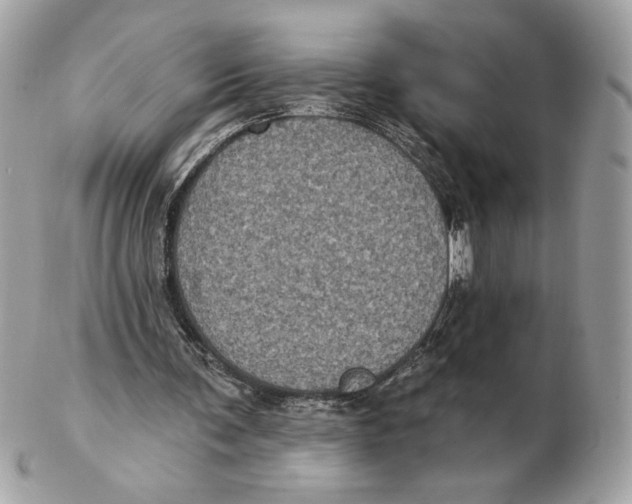 X0000102460291200808291548