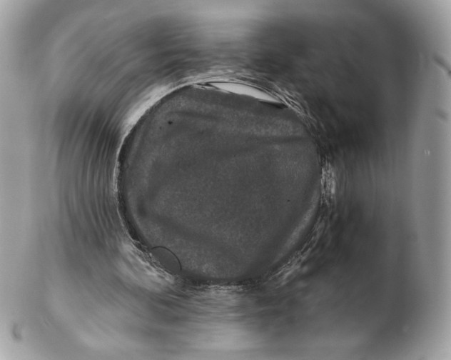 X0000102460292200808291548