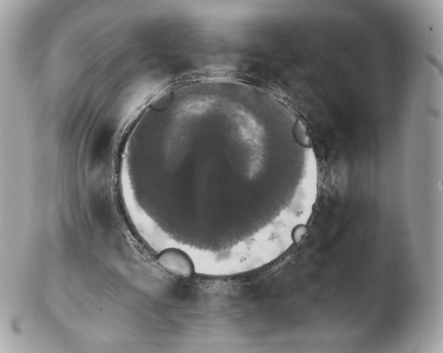 X0000102460293200808291548