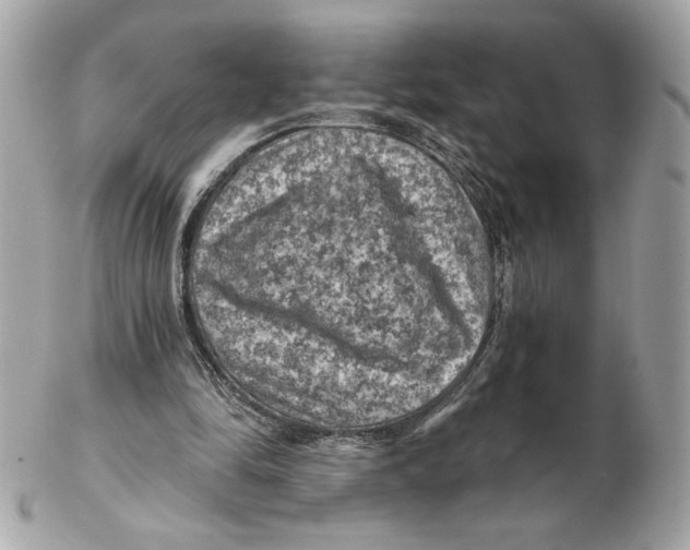 X0000102460294200808291548