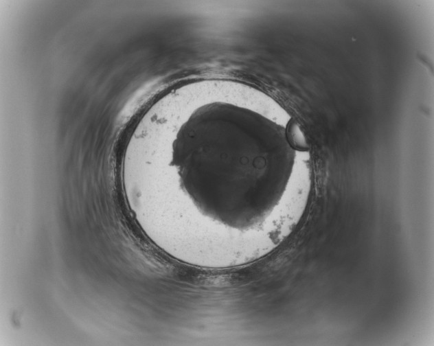 X0000102460295200808291548