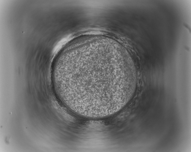 X0000102460296200808291548