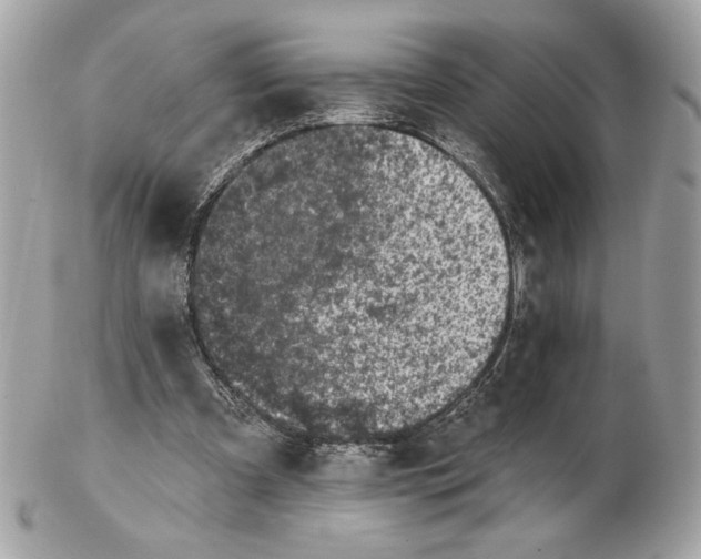X0000102460297200808291548