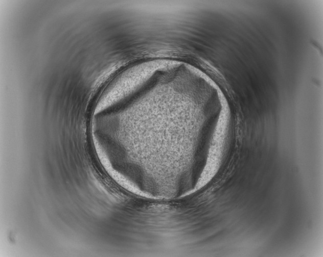 X0000102460298200808291548