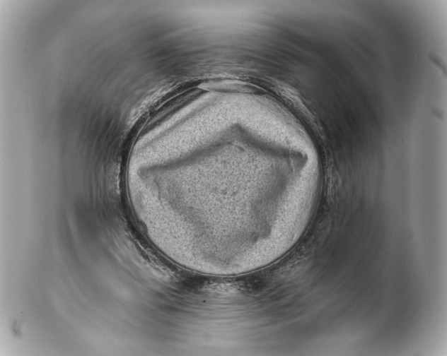 X0000102460299200808291548