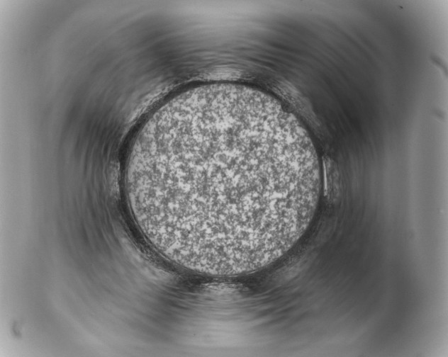 X0000102460300200808291548