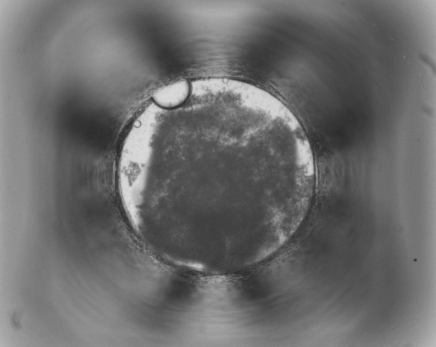 X0000102460301200808291548