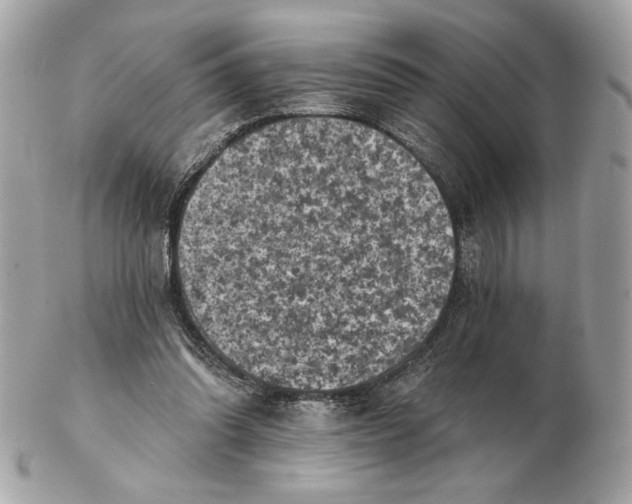 X0000102460302200808291548