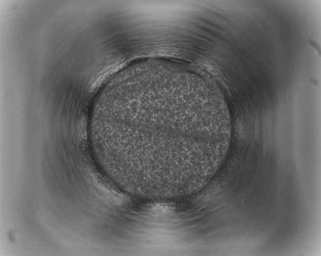 X0000102460303200808291548