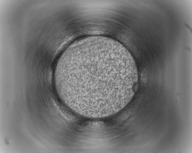X0000102460304200808291548