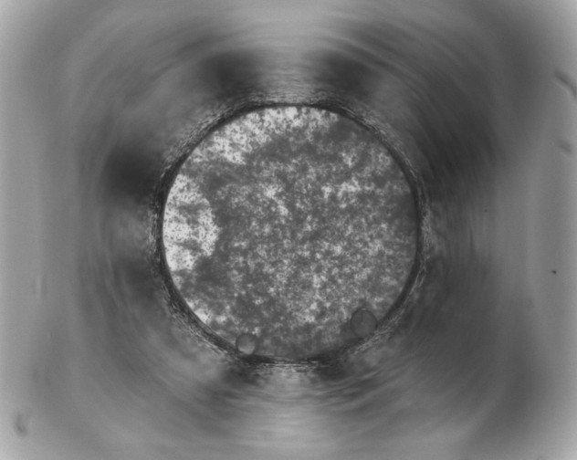 X0000102460305200808291548
