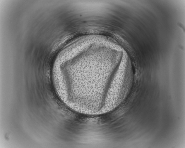 X0000102460306200808291548
