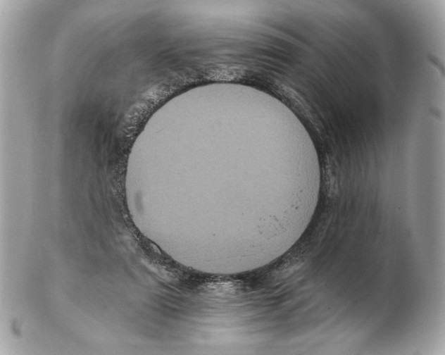 X0000102460307200808291548
