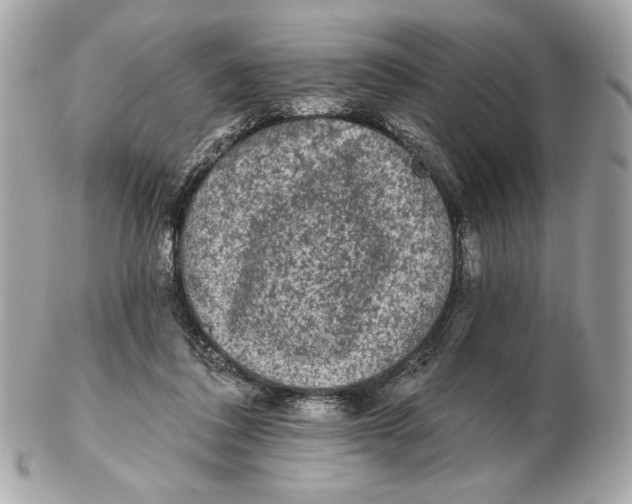 X0000102460308200808291548