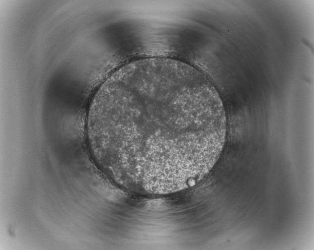 X0000102460309200808291548