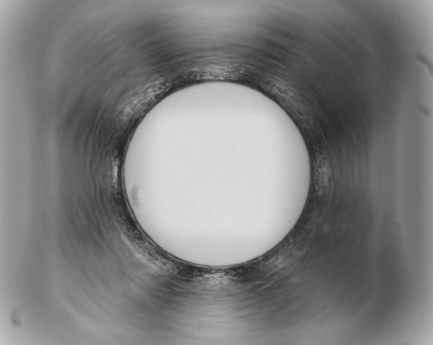 X0000102460310200808291548