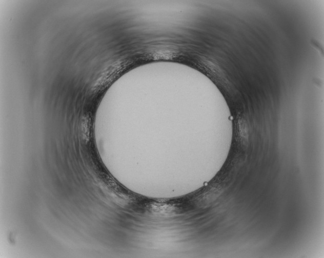 X0000102460311200808291548
