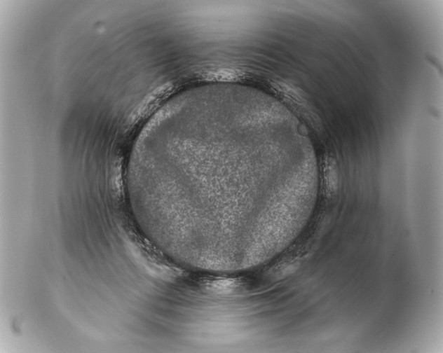 X0000102460312200808291548