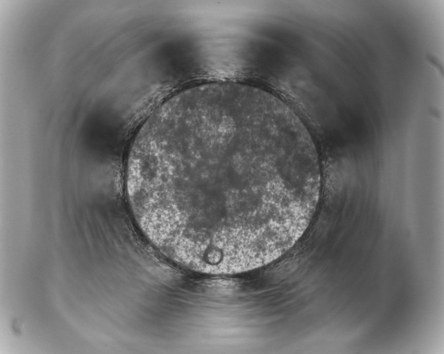 X0000102460313200808291548