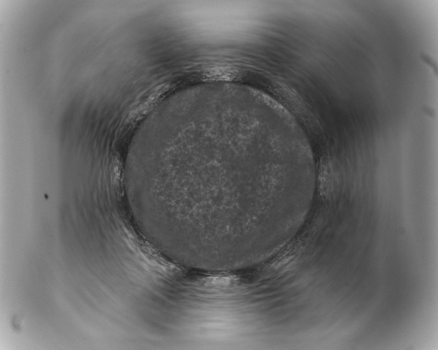 X0000102460314200808291548