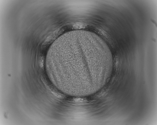X0000102460315200808291548