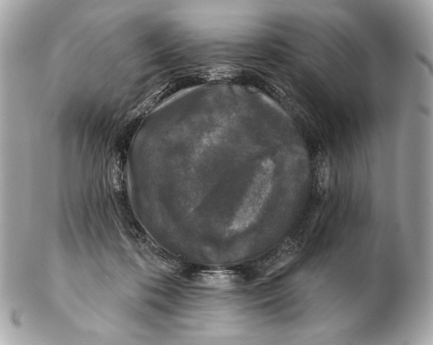 X0000102460316200808291548