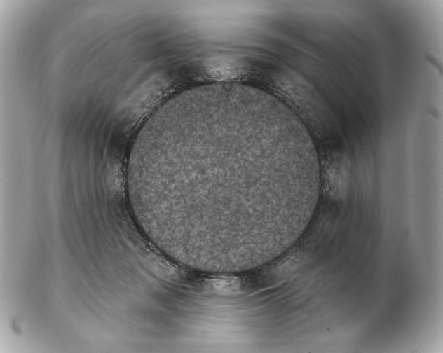X0000102460317200808291548