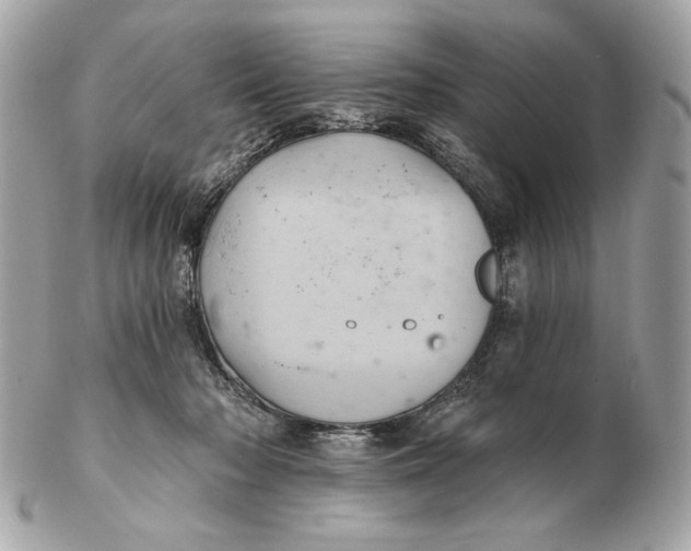 X0000102460318200808291548