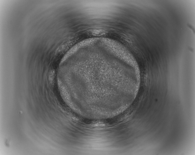 X0000102460319200808291548