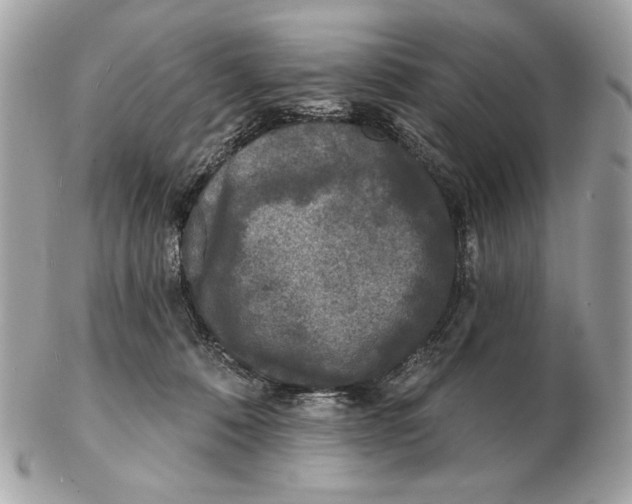 X0000102460320200808291548