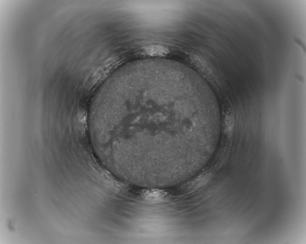X0000102460321200808291548