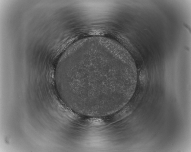 X0000102460322200808291548
