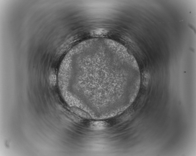 X0000102460324200808291547
