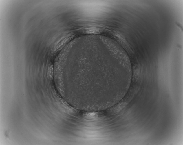 X0000102460325200808291547