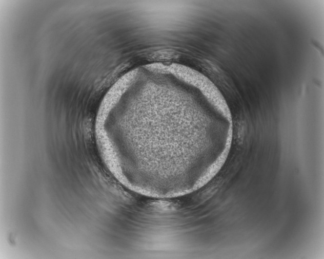 X0000102460326200808291547