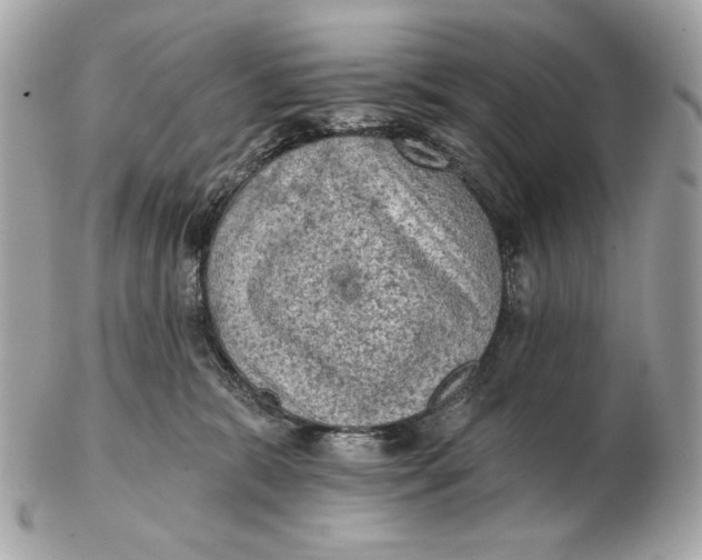 X0000102460327200808291547