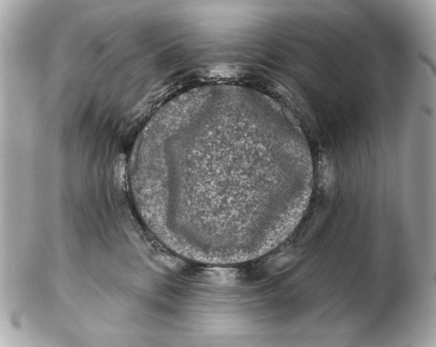 X0000102460328200808291547
