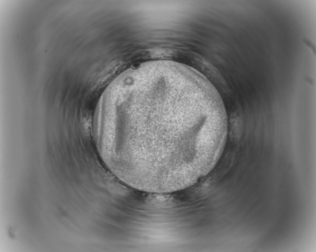 X0000102460329200808291547