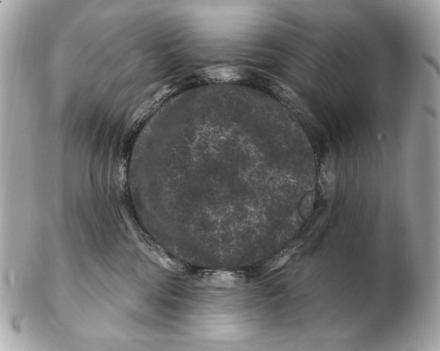 X0000102460330200808291547